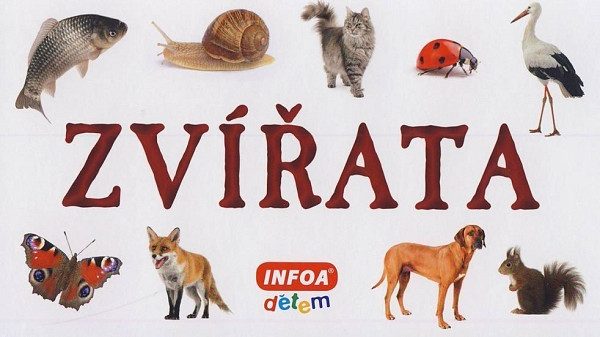 Zvířata