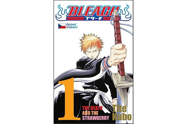 Bleach 1