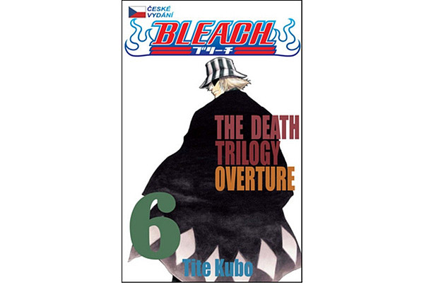 Bleach 6