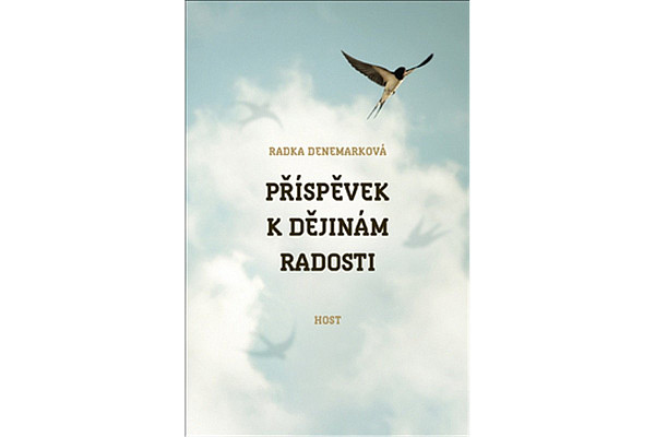 Příspěvek k dějinám radosti