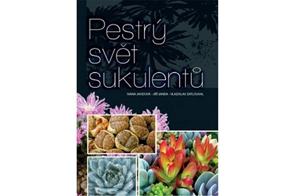 Pestrý svět sukulentů