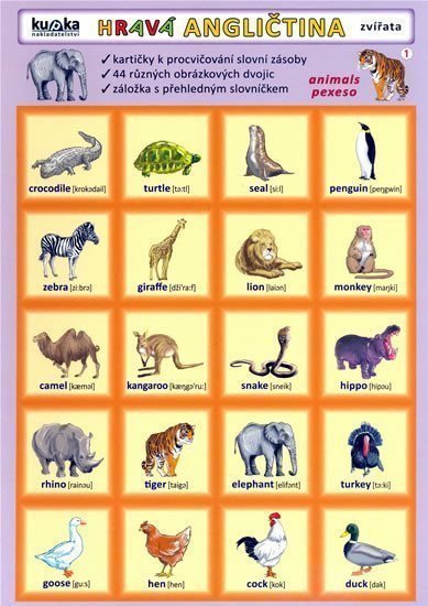 Hravá angličtina 1 - zvířátka