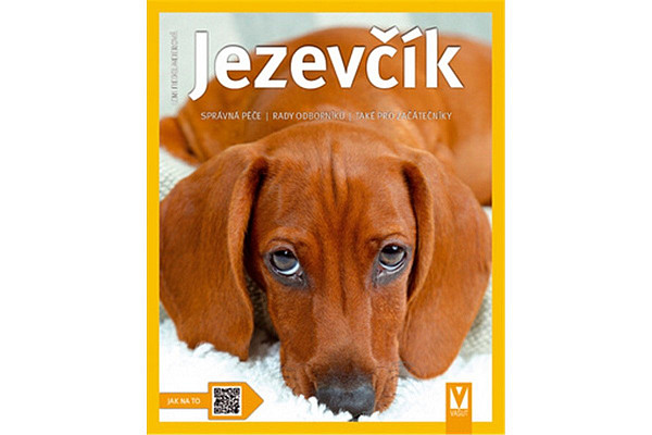 Jezevčík