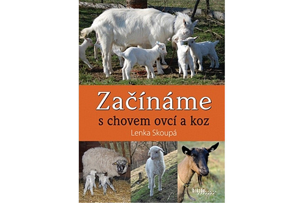 Začínáme s chovem ovcí a koz