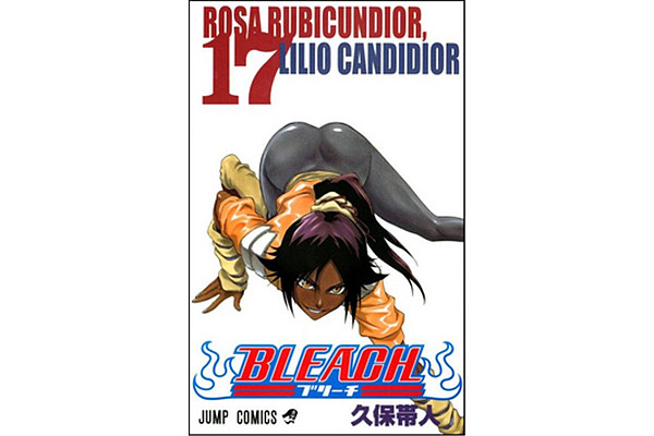Bleach 17