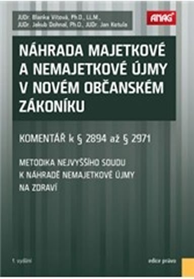 Náhrada majetkové a nemajetkové újmy v novém občanském zákoníku
