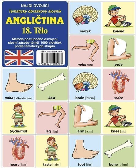 Angličtina 18. Tělo