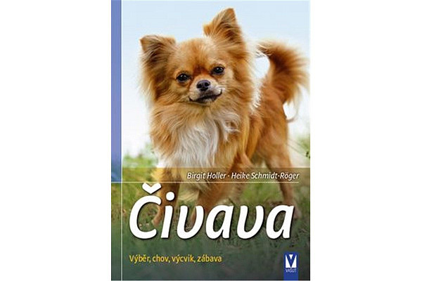 Čivava