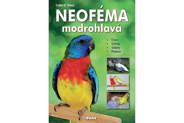 Neoféma modrohlavá