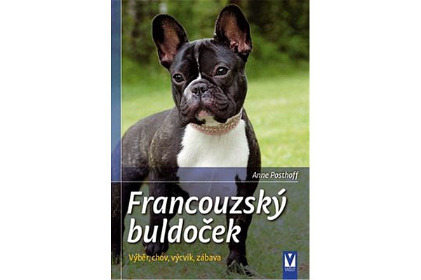 Francouzský buldoček