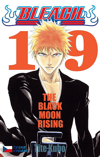 Bleach 19