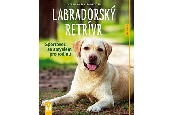 Labradorský retrívr