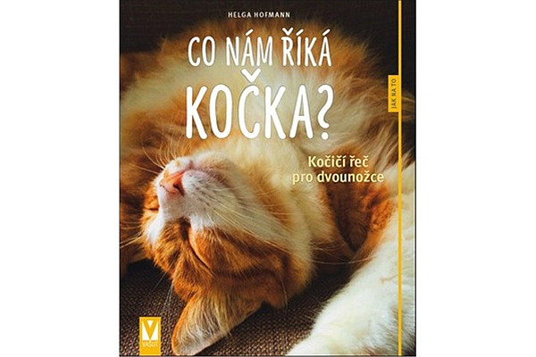 Co nám říká kočka?