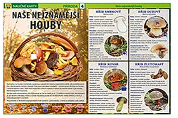 Naučné karty Naše nejznámější houby