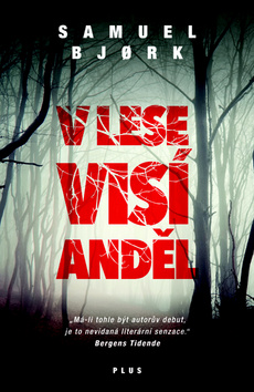 V lese visí anděl (brož.)