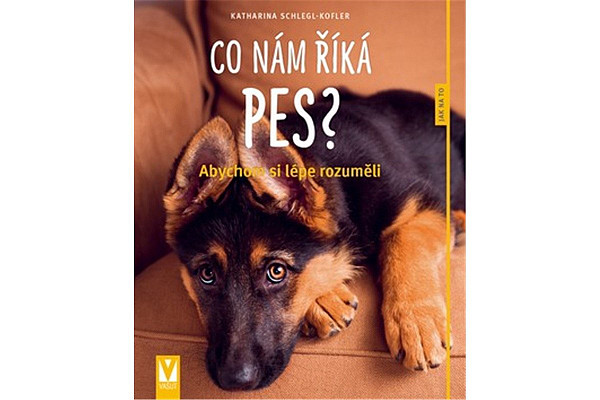 Co nám říká pes?