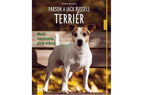 Parson a Jack Russell teriér