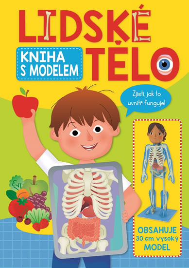 Lidské tělo Kniha s modelem