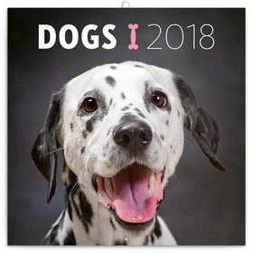 Psi - nástěnný kalendář 2018