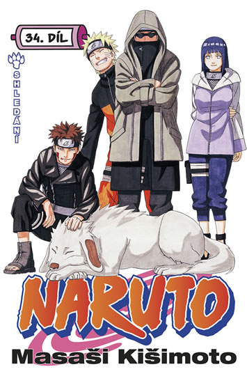 Naruto 34 Shledání
