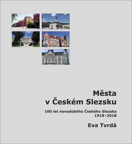Města v Českém Slezsku