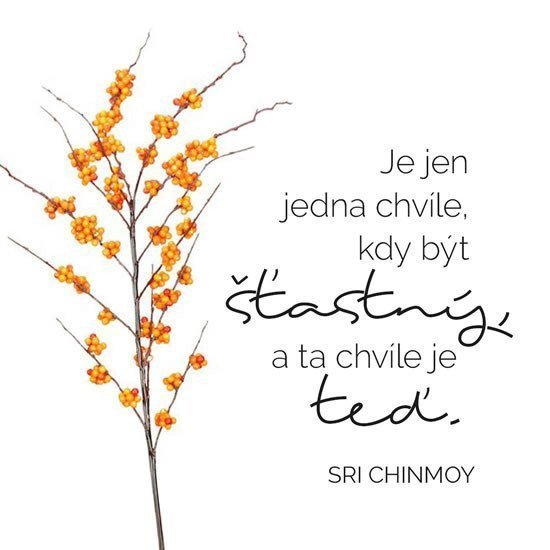 Korkový podtácek Je jen jedna chvíle