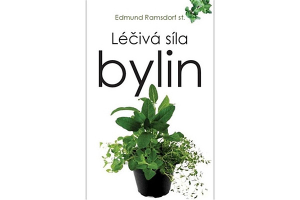 Léčivá síla bylin