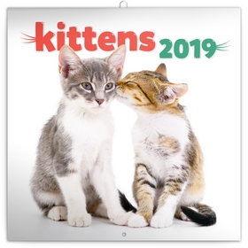 Poznámkový kalendář Koťata 2019, 30 x 30