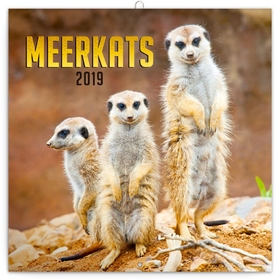 Poznámkový kalendář Surikaty 2019, 30 x
