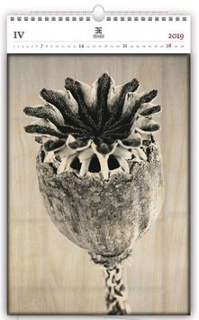 Poppyhead - dřevěný nástěnný kalendář 2019