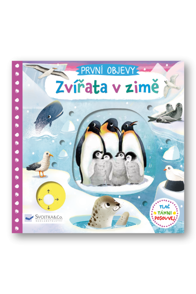 První objevy Zvířata v zimě