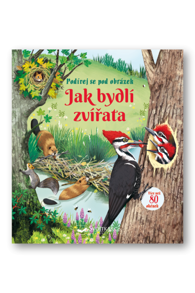 Jak bydlí zvířata - Podívej se pod obrázek