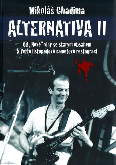 Alternativa II