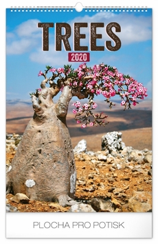 Nástěnný kalendář Stromy 2020