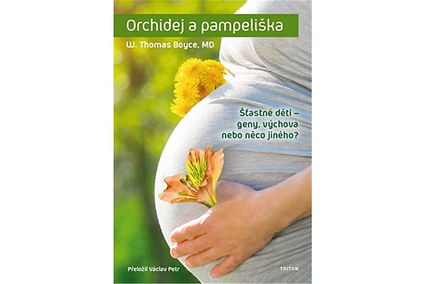 Orchidej a pampeliška