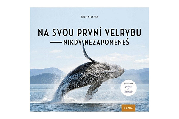 Na svou první velrybu - nikdy nezapomeneš