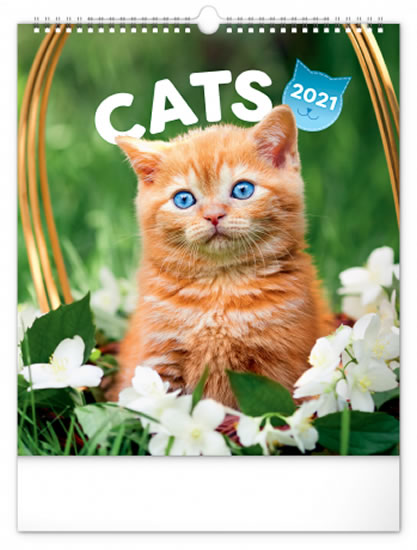 Kalendář 2021 nástěnný: Kočky, 30 × 34 cm