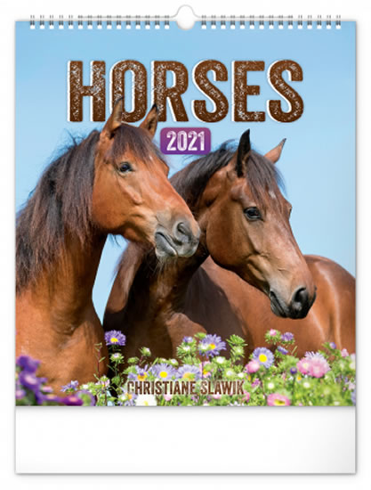 Kalendář 2021 nástěnný: Koně, 30 × 34 cm