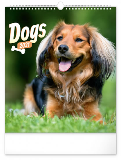 Kalendář 2021 nástěnný: Psi, 30 × 34 cm