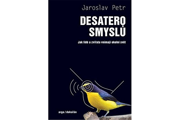 Desatero smyslů