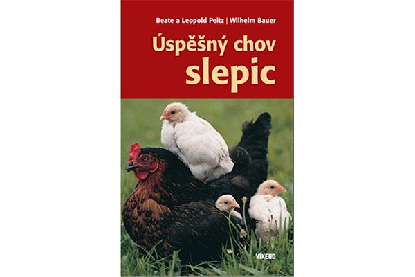 Úspěšný chov slepic