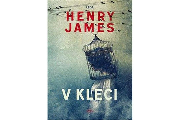 V kleci