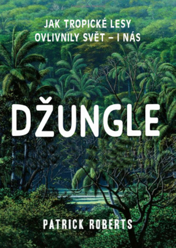 Džungle