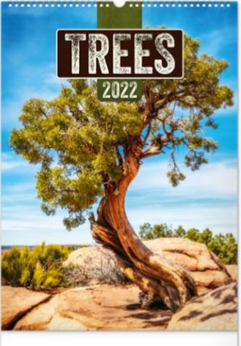 Nástěnný kalendář Stromy 2022