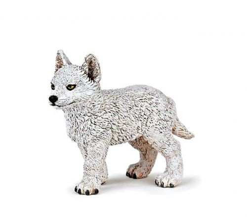 Polární vlk mládě