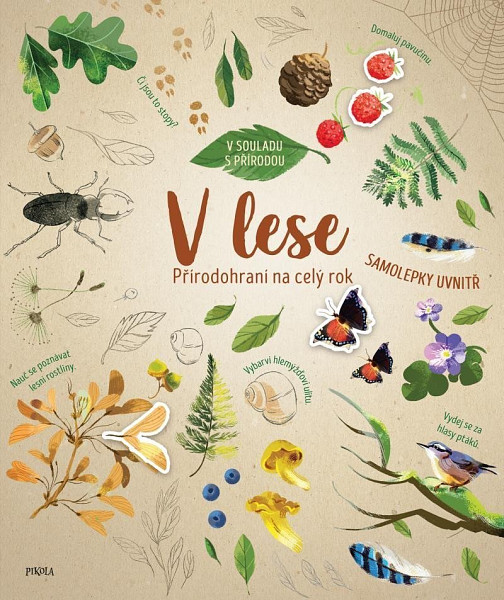 V lese Přírodohraní na celý rok