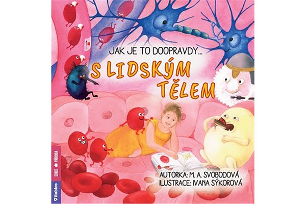 Jak je to doopravdy s lidským tělem