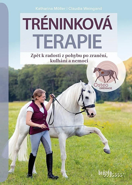 Tréninková terapie