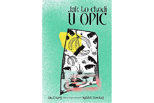 Jak to chodí u opic