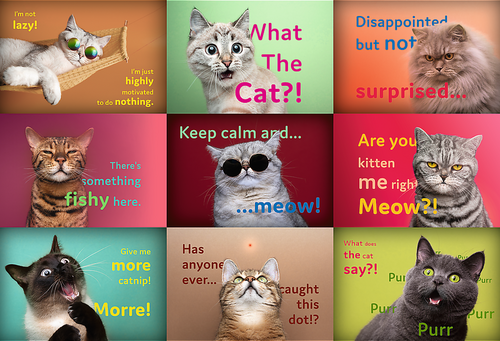Puzzle Vtipné kočičí výrazy 1500 dílků